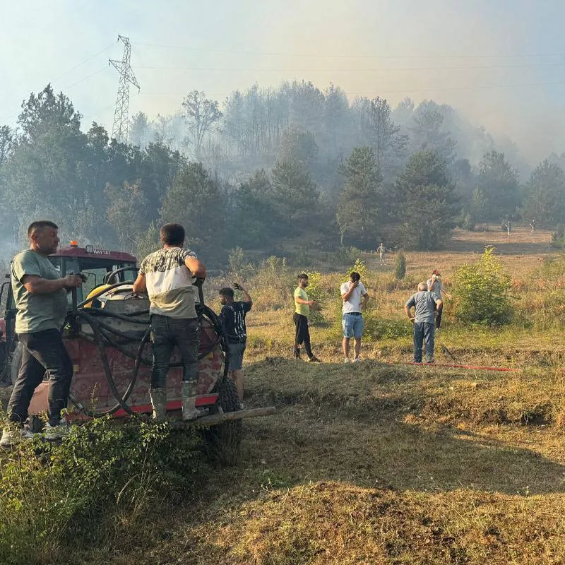 SON DAKİKA-Bartın’da başlayan Orman Yangının Alevleri Rüzgarla Büyüdü